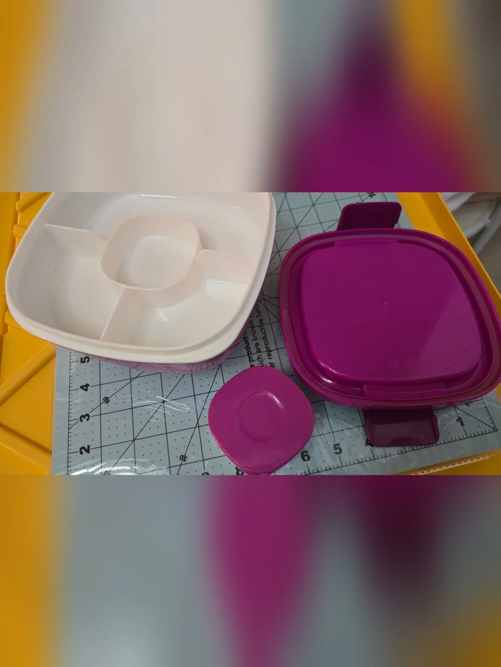 Please Read This Purple Food Storage Container Set - Versatile Kitchen Storage